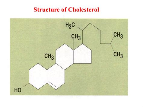 cholesterol.pptx