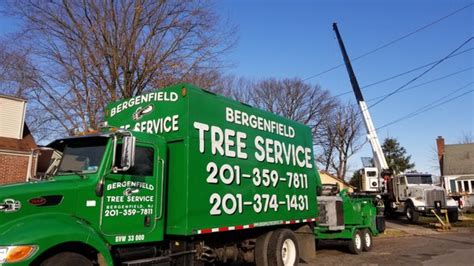 BERGENFIELD TREE SERVICE Updated January 2025 31 Reviews