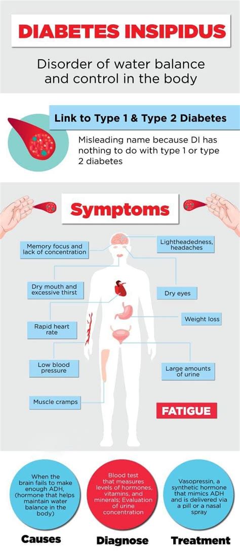 Diabetes Insipidus What You Need To Know The Healthy