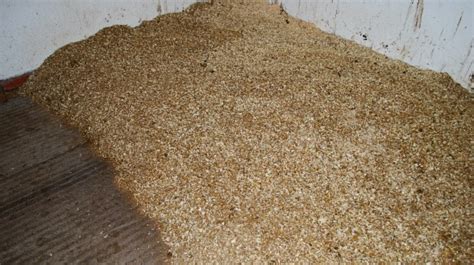 Mucking Out Horses How To Muck Out Shavings V Straw Deep Litter