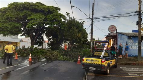 Pancada De Chuva Derruba Rvores E Postes Em Uberl Ndia Alguns Bairros