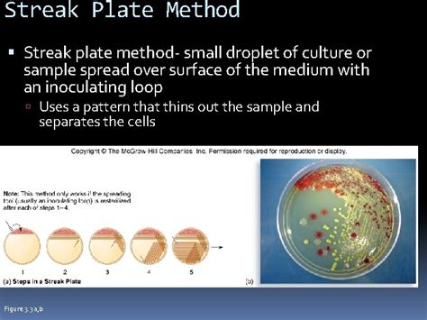 microbiology techniques basic   methods  culturing