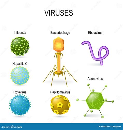 Verschillende Vormen Van Virussen Vector Illustratie Illustration Of