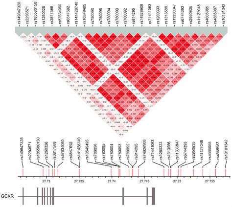 Linkage Disequilibrium Map Of GCKR Gene Region Single Nucleotide