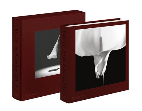 Amazon Fr Flora Les Fleurs De Mapplethorpe Mapplethorpe Livres