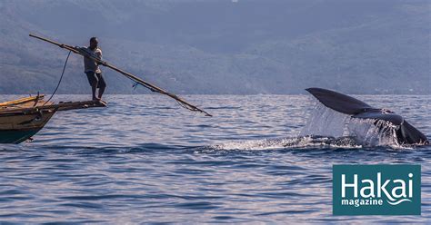 Photo Diary Of A Whale Hunt Hakai Magazine