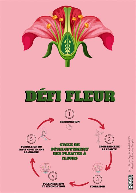 D Fi Fleur Plateau Et Cartes Cycle Team Ludens Mettre Les