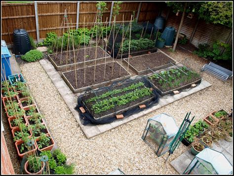 Mark S Veg Plot Mark S Veg Plot In May