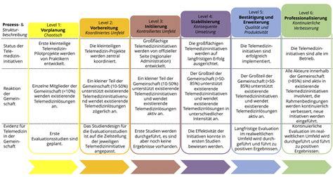 Das Reifegradmodell F R Telemedizin In Gemeinschaften Tcrm