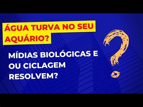 Ser Que M Dias Biol Gicas Resolvem Problema De Gua Turva Youtube