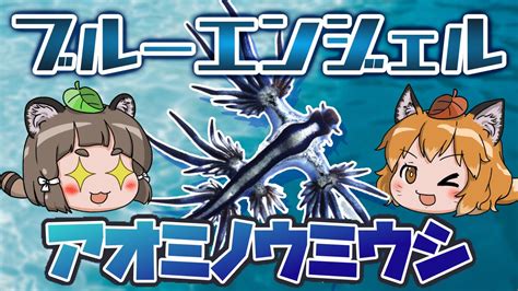 ろう🦊🦝へんないきものチャンネル㊗オリ曲出来たよ♪ On Twitter 【今週の投稿予定をチラ見せ 】 月：楽しいサメ映画（人型） 水