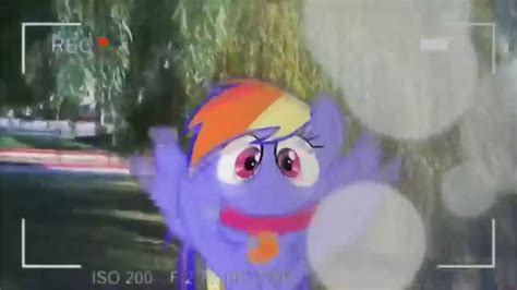 Mlp In Real Life Animation Rainbow Dash In Real Life Youtube