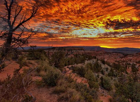 Brilliant Sunrise Over Bryce Canyon Photograph by Stephen Vecchiotti