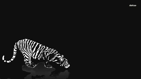 Black And White Tiger Wallpapers Group (70+)