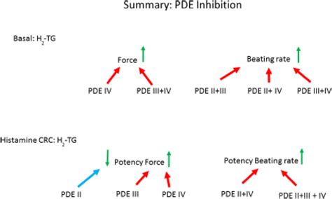 Scheme Hypothetical Simplified Explanation Which Pde Might Be Mainly