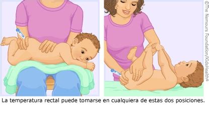 márketing Todo el tiempo dígito como se toma la temperatura a un bebe