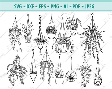 Plants Svg Potted Plants Svg Houseplants Svg Flower Pot Clipart