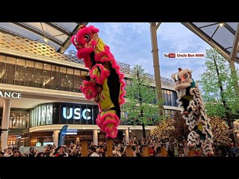 Cny Acrobatic Lion Dance Performance Double Lions Pavilion