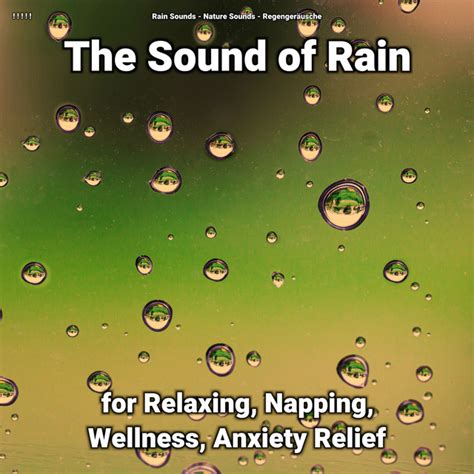 The Sound Of Rain For Relaxing Napping Wellness Anxiety Relief