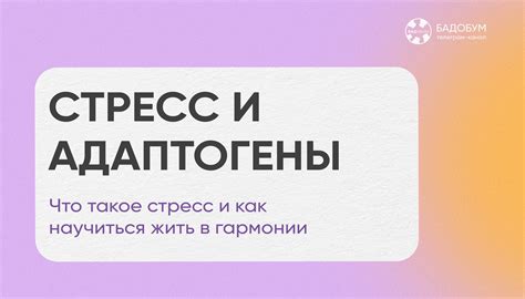 Стресс и адаптогены Что такое стресс и как научиться жить в гармонии