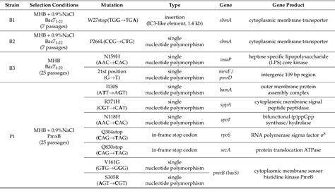 Table 1 From Genomic Insights Into Bacterial Resistance To Proline Rich Antimicrobial Peptide