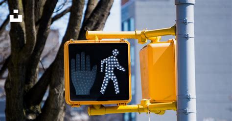 A traffic light with a pedestrian crossing sign on it photo – Free ...