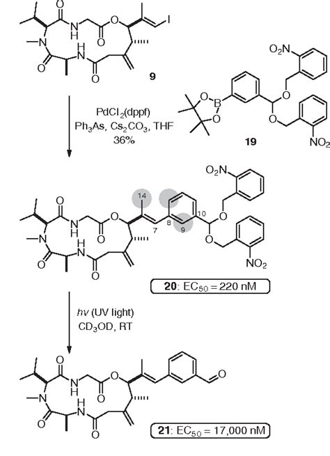 Figure From Chemical Construction And Structural Permutation Of