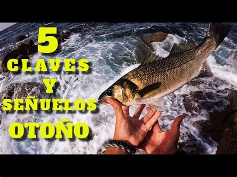 Claves Y Se Uelos Para Pescar Lubinas A Rockfishing Y Spinning En