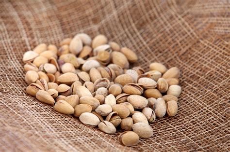 Peruvian Canary Peruano Beans Stock Image Image Of Seed Scoop