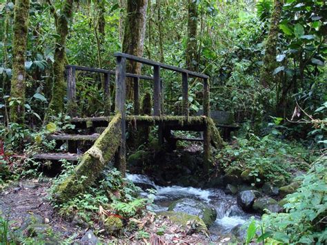 Volcan Baru National Park | Panama tourism, National parks, World ...