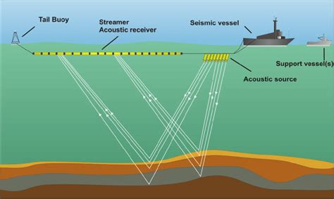 Seismic Survey Support - Surveys For Money Us