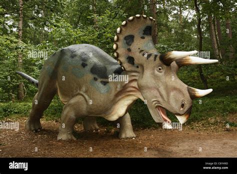 Triceratops Three Horned Face In Leba Park Dinosaur Theme Park