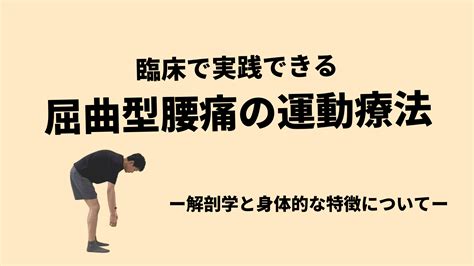 【実践】屈曲型腰痛の運動療法 解剖学と身体的な特徴 ‣ Exthera School