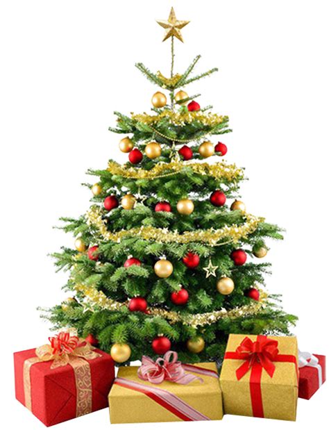 Christmas Tree Png