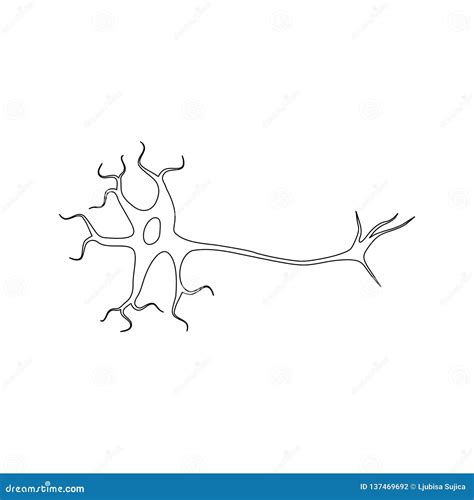 Nerve Cell Icon Flat Graphic Design Neuron Logo Stock Vector