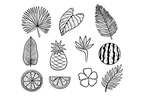 Hand Drawing Tropical Leaves Collection Graphic by PadmaSanjaya ...