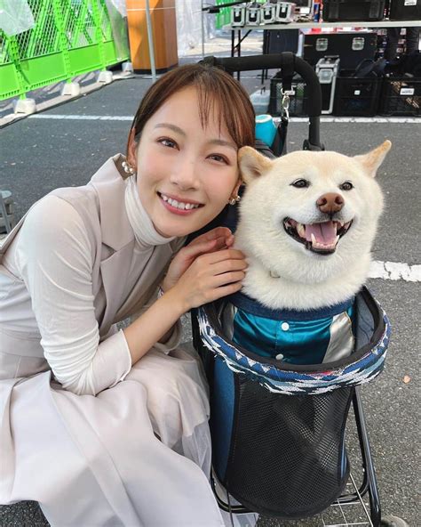 青木美奈実さんのインスタグラム写真 青木美奈実instagram「秋の砥部焼まつり 今年も大盛況！！ 窯元さんたちこだわりの作品が