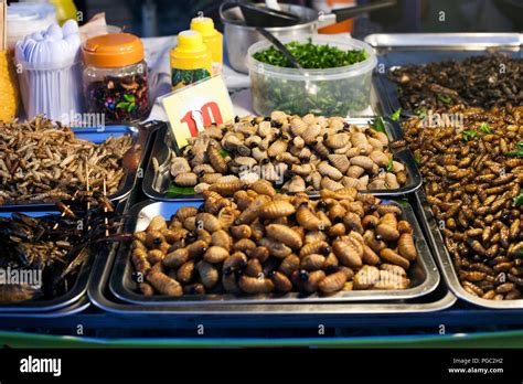 Thai Food Fried Spicy Worms And Insects At Night Street Market In Phuket Town Thailand Natural