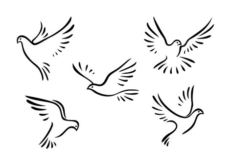 Doves and pigeons set 11230650 Vector Art at Vecteezy