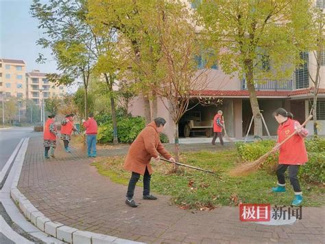 湖北沙洋：“志愿红”赋能乡村“环境美” 荆楚网 湖北日报网