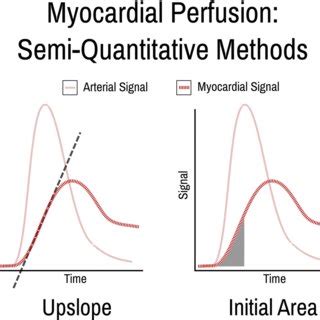 Quantitative Myocardial Perfusion Map Example Of Pixel Maps