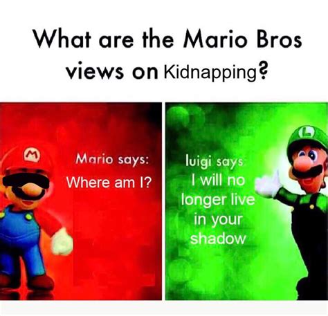 What Are The Mario Bros Views On Kidnapping Mario Bros Views