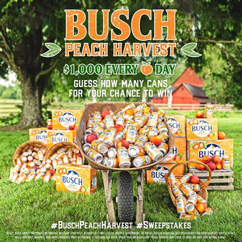 Busch Beer on Twitter: "Busch Light Peach is ripe for the picking! We ...