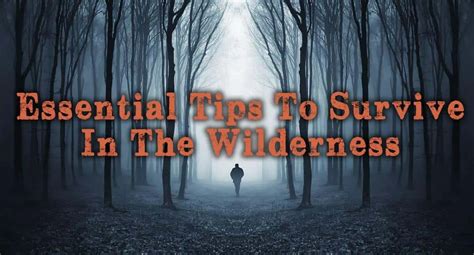 15 Essential Tips For Surviving In The Wilderness Prepper S Will