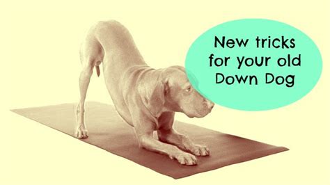 Alignment tips and tricks for the yoga pose Downward Facing Dog ...