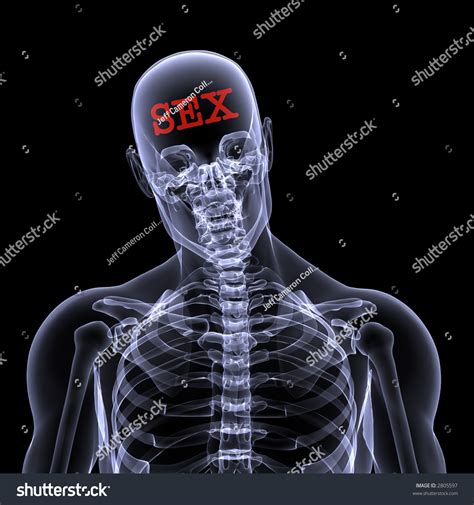 Xray Male Skeleton Thinking About Sex Stock Illustration 2805597