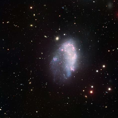 Dwarf galaxies of Earth’s second closest galaxy cluster are free of ...