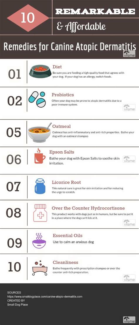 how to treat dermatitis in dogs