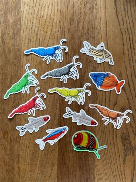 3 Pack Tropical Fish Stickers - Tropical Fish Stickers – AQUAPROS