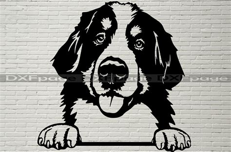 Bernese Mountain Dog Svg Silhouettes Dxf Svg For Cricut Dog Etsy